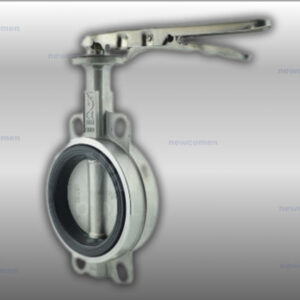 Specific feature (N250)