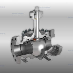 Specific feature (Forge): N290